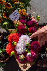 Copenhagen, Denmark, A woman points to a bouquet of  Dahlia flowers with a pricetag in Danish Kronor.
