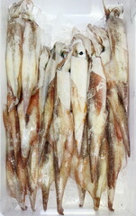 新鮮活魚　魚屋に並ぶヤリイカ