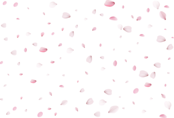 Flying sakura petals.