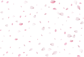 Fotobehang Kersenbloesem Flying sakura petals.  © writerfantast