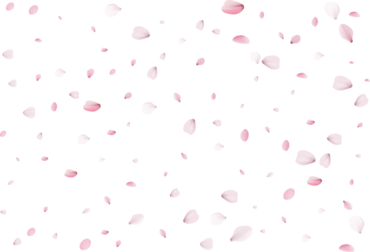 Flying sakura petals.