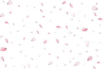Flying cherry petals. - obrazy, fototapety, plakaty