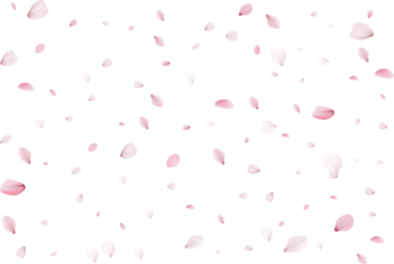 Flying cherry petals.