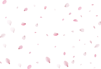 Flying petals.