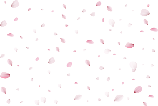 Flying cherry petals.