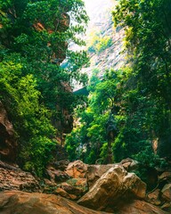 Landscape of image of narrow valley with steep mountains and trees growing on the slopes. An image from Wadi Lajab, Saudi Arabia.