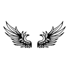 Wing isolated on white. PNG.