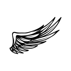 Wing isolated on white. PNG.