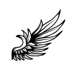 Fototapeta premium Wing isolated on white. PNG.