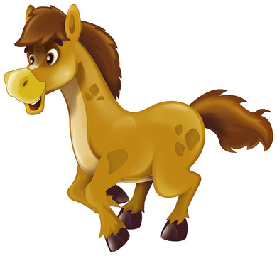 Cartoon happy horse stallion is standing looking and smiling illustration for children