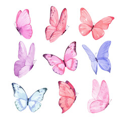 Set of butterflies isolated on white background. Watercolor. Illustration. Template, blue, yellow, pink and violet butterfly spring illustration.