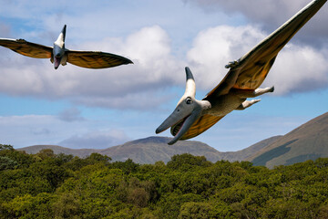 Pterodactyl is the common term for the winged reptiles dinosaurs,  properly called pterosaurs, which belong to the taxonomic order Pterosauria. Individual genera, such as Pterodactyl and Pteranodon. © Jacek