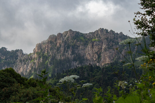 Mountains against the sky and forest