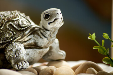 foto de una tortuga sonriente en primero plano con fondo desenfocado.