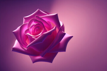 Beautiful pink rose, light reflections, dark background, elegant 3d illustration of rose flower , close-up