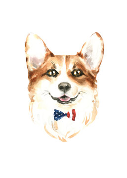 Watercolor Corgi illustration, cute dog breed, funny character, cartoon dog in costume,clothes, accessories, hat, poster, card, invite, print,printable diy          