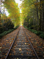 Railroad tracks in Canada