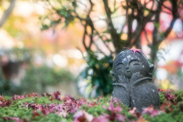Fototapeta 京都 圓光寺の可愛らしいわらしべ地蔵と美しい紅葉景色 obraz