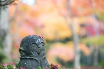 京都 圓光寺の可愛らしいわらしべ地蔵と美しい紅葉景色
