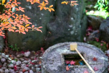 京都 金福寺の紅葉と庭園のつくばい