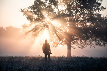 The sunrise light glows through the branches of a solitary ancient tree