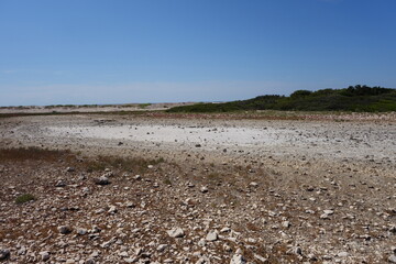 dry land on remote island. Soil is covered with salt and stones.