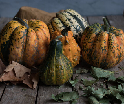 Assorted rustic pumpkins on dark wooden table