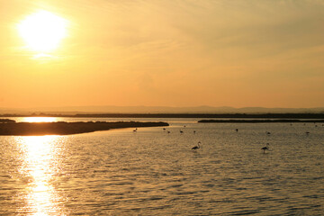 Fototapeta premium Amazing sunset in Grec pond in Palavas les Flots in the south of France 