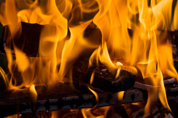 close up of burning wood with fire
