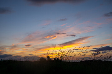 Autumn Sunset through blades of grass