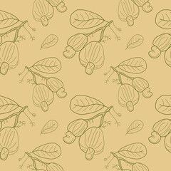 Cashew seamless pattern. Linear Cashew seamless background for print. Nut pattern for food packaging etc. vector illustration.