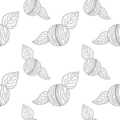 Macadamia seamless pattern. Linear Macadamia seamless background for print. Nut pattern. vector illustration.