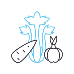 onion.carrot, celery line icon, outline symbol, vector illustration, concept sign