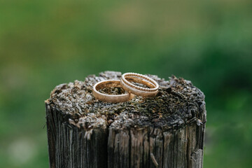 Beautiful wedding rings