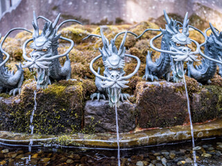 dragon fountain with multiple heads in a shinto shrine in Japan
