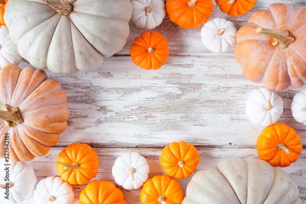 Aufkleber Autumn frame of pumpkins of various sizes and colors over a rustic white wood background. Overhead view with copy space.