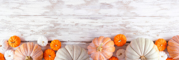Fall bottom border of pumpkins of various sizes and colors over a rustic white wood banner...
