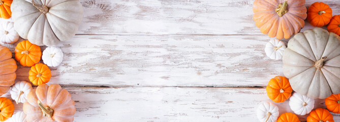 Autumn double border of pumpkins of various sizes and colors over a rustic white wood banner...