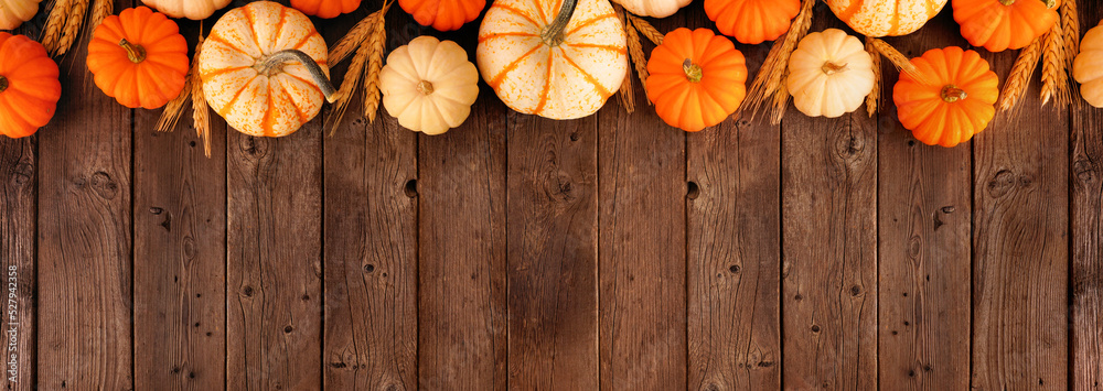 Poster autumn top border of orange and white pumpkins and wheat. overhead view on a rustic dark wood banner