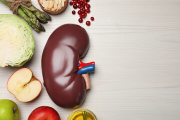 Flat lay composition with kidney model and different products on white wooden table, space for text