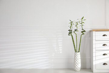 Vase with green bamboo stems near chest of drawers in room, space for text. Interior design