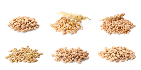 Set with heaps of wheat grains on white background. Banner design