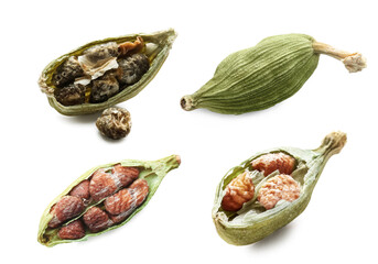 Set with green cardamom pods on white background