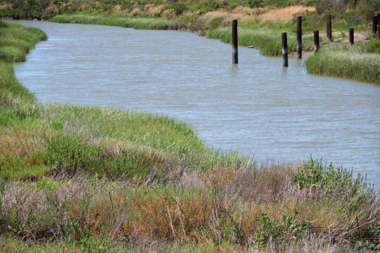 California River Landscape Between Napa And The San Pablo Bay