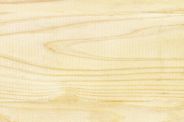 Wood wall texture. Wood background old panels