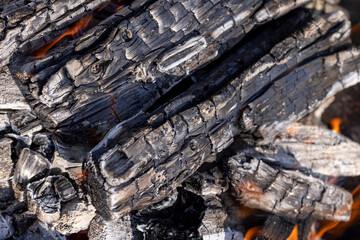 Burning logs in a campfire while cooking and warming