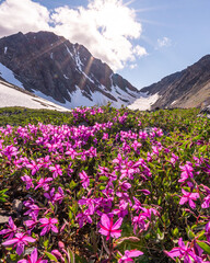 Obraz premium Portrait panoramic mountain views in Yukon Alaska area of North America. 