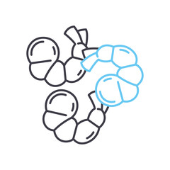 prawn line icon, outline symbol, vector illustration, concept sign