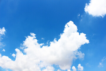 Naklejka na ściany i meble Blank sky surface with small clouds