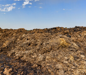 Obraz premium Manure for fertilizing the soil in the field